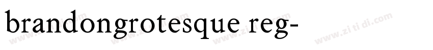 brandongrotesque reg字体转换